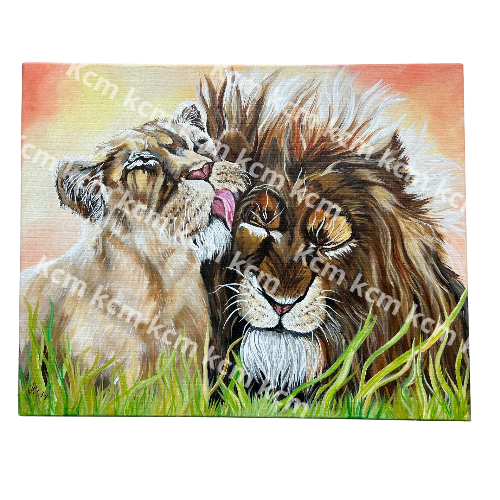 Lions in love