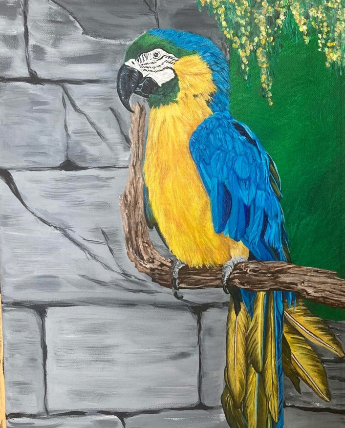 Papegaai – origineel werk van Kitty